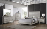 Coaster Ramon Queen Panel Bed Metallic Sterling 4pc Set